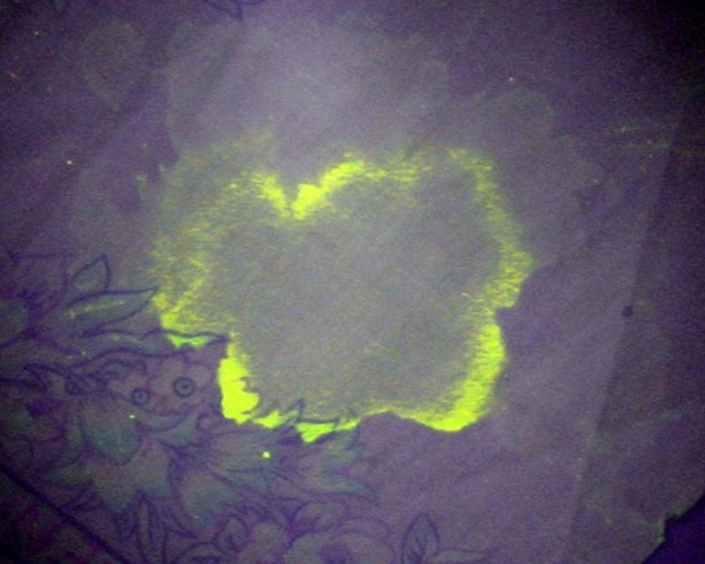 biological evidence under Forensic Light Source luyor-3215t